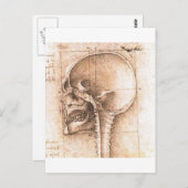 Carte Postale View of a Skull by Leonardo Da Vinci c. 1489 (Devant / Derrière)