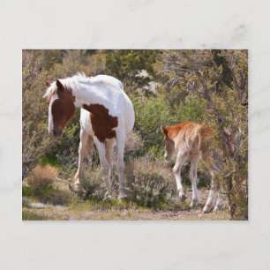 Carte Postale Vigilant Mère