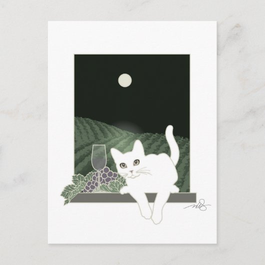 Carte Postale Vigne, Clair de Lune et Chat Blanc (Devant)
