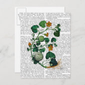 Carte Postale Vigne de squash 2 (Devant / Derrière)
