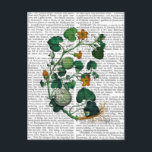 Carte Postale Vigne de squash 2<br><div class="desc">Botanique et florale</div>