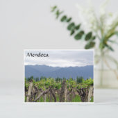 Carte Postale vigne mendoza andes (Debout devant)