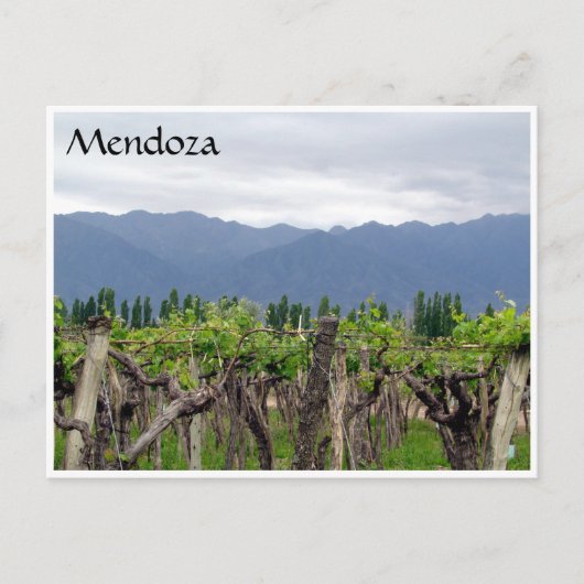 Carte Postale vigne mendoza andes (Devant)