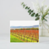 Carte Postale vigne rouge (Debout devant)