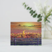 Carte Postale Vignoble (Debout devant)