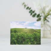 Carte Postale Vignoble (Debout devant)