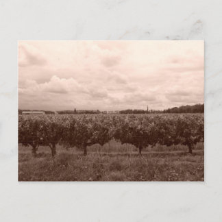 Carte Postale Vignoble 1