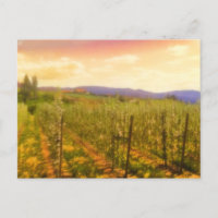 Vignoble à Dawn Kelowna Colombie-Britannique Canad