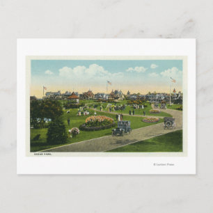 Carte Postale Vignoble de Martha, vue sur Ocean Park