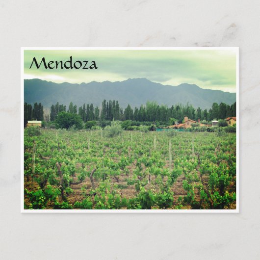 Carte Postale vignoble de mendoza andes (Devant)