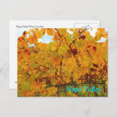 Carte Postale Vignoble de Napa Valley (Devant / Derrière)