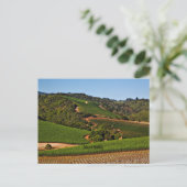 Carte Postale Vignoble de Napa Valley (Debout devant)
