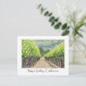 Carte Postale Vignoble de printemps à Napa Valley en Californie (Debout devant)