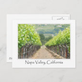 Carte Postale Vignoble de printemps à Napa Valley en Californie (Devant / Derrière)