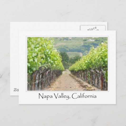 Carte Postale Vignoble de printemps à Napa Valley en Californie (Devant / Derrière)