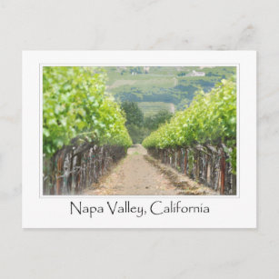 Carte Postale Vignoble de printemps à Napa Valley en Californie
