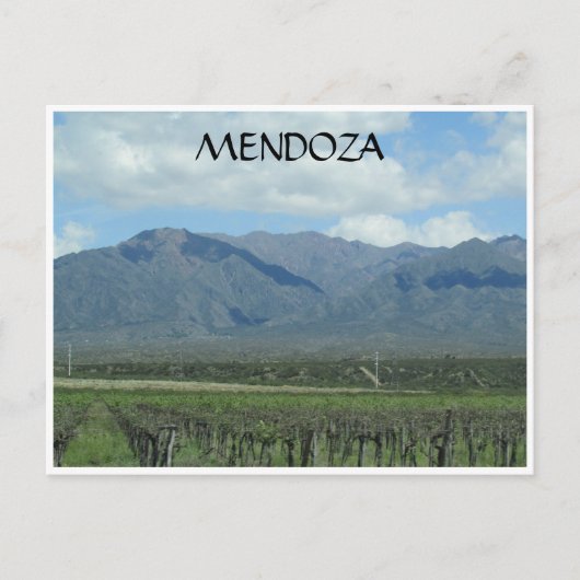 Carte Postale vignoble des Andes de Mendoza (Devant)