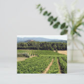 Carte Postale Vignoble en France (Debout devant)