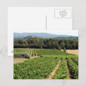 Carte Postale Vignoble en France (Devant / Derrière)