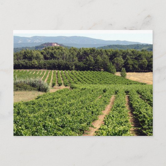 Carte Postale Vignoble en France (Devant)