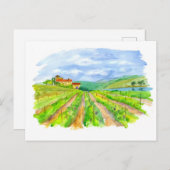 Carte Postale Vignoble ensoleillé. Aquarelle (Devant / Derrière)