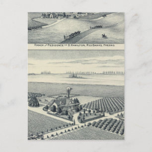 Carte Postale Vignoble Estella Blanca, Californie