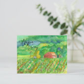 Carte Postale Vignoble Napa Valley Red Grange Field Rows (Debout devant)