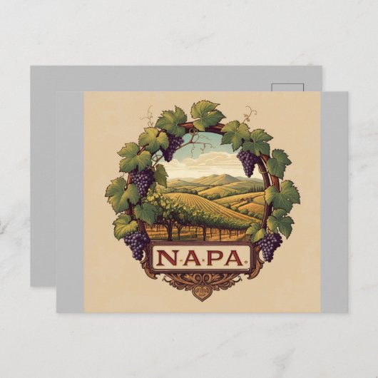 Carte Postale Vignoble Napa Valley Souvenir (Devant / Derrière)
