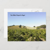 Carte postale: Vignoble Paso Robles en août (Devant / Derrière)