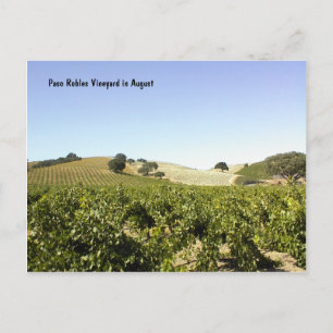 Carte postale: Vignoble Paso Robles en août