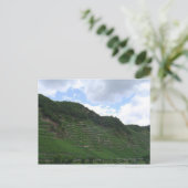 Carte Postale Vignoble vertique (Debout devant)