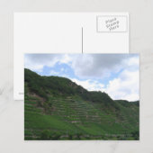 Carte Postale Vignoble vertique (Devant / Derrière)