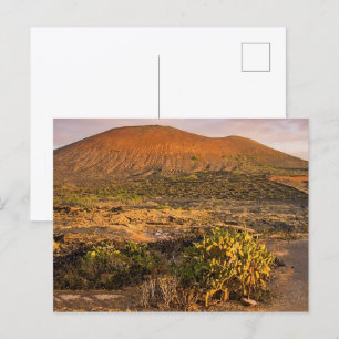 Carte Postale Vignoble volcanique et caldeira de Lanzarote au co