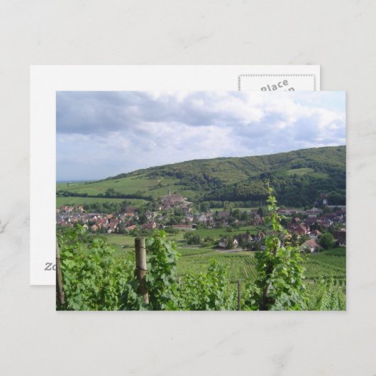 Carte Postale Vignobles d'Alsace (Devant / Derrière)