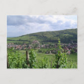Carte Postale Vignobles d'Alsace (Devant)
