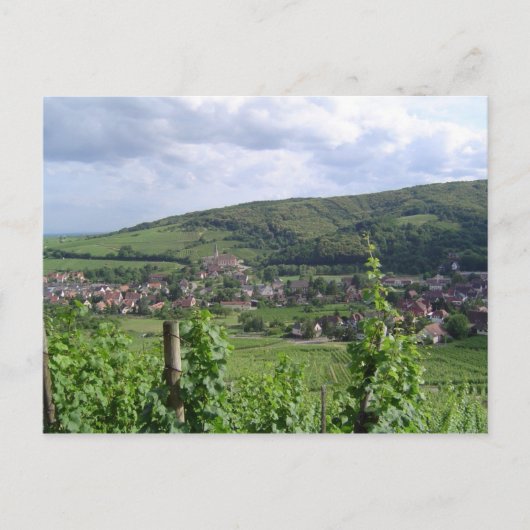 Carte Postale Vignobles d'Alsace (Devant)