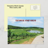 Carte Postale Vignobles de Géorgie, USA (Devant / Derrière)