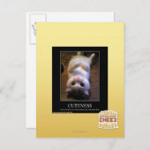 Carte Postale Vigueur 2 (Devant / Derrière)