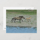 Carte Postale vilain (Devant / Derrière)