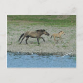 Carte Postale vilain (Devant)