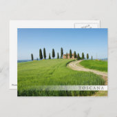 Carte Postale Villa de ferme avec cyprès en Toscane (Devant / Derrière)