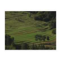 Village de Prem, Brkini Hills, Slovénie