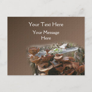 Carte Postale Village des champignons Nature