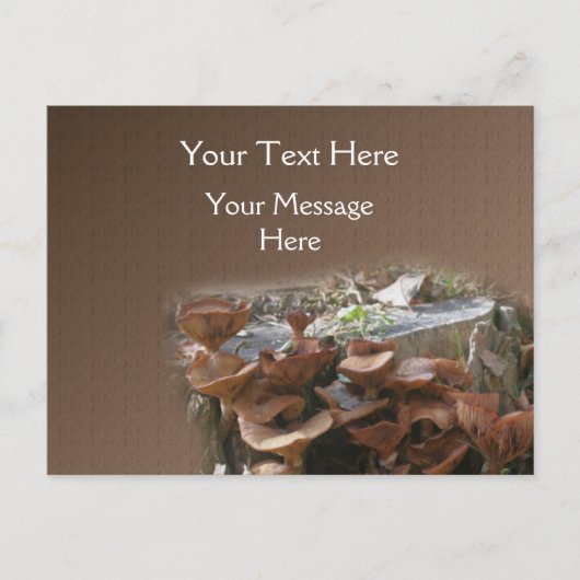 Carte Postale Village des champignons Nature (Devant)