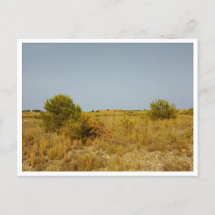 Carte Postale Villarreal (Espagne)