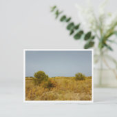 Carte Postale Villarreal (Espagne) (Debout devant)