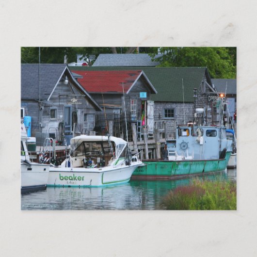 Carte Postale ville de pêcheurs de Leland (Devant)