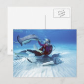 Carte Postale Ville de Stingray, Grand Cayman, îles Caïmans, (Devant / Derrière)