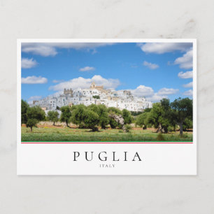 Carte Postale Ville d'Ostuni et paysage d'oliviers dans les Poui