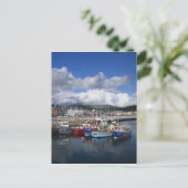 Carte Postale Ville et port, Dingle, comté de Kerry, (Debout devant)